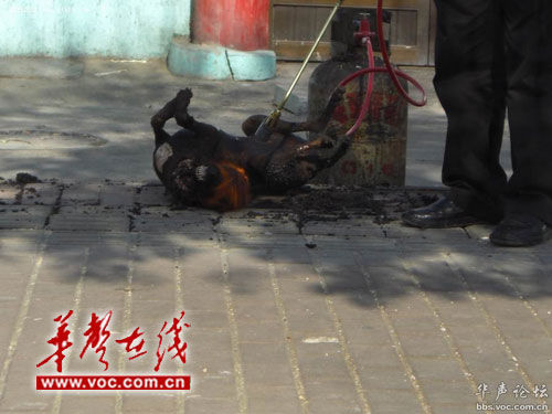 �W(w��ng)�Ѱl(f��)���ز��^��(d��ng)�֟����(�M�D)