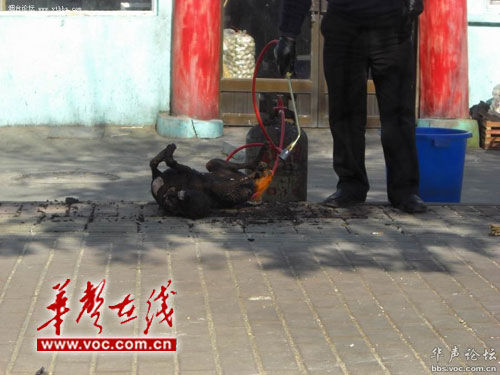 �W(w��ng)�Ѱl(f��)���ز��^��(d��ng)�֟����(�M�D)