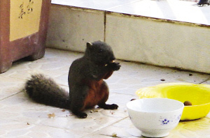 С����ÿ��ɴ��M������в��(�M�D)