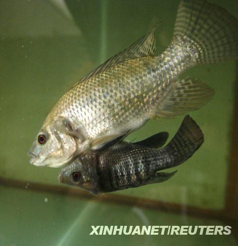 �B�w�~���E���һ��һ��ˮ����(�M�D)