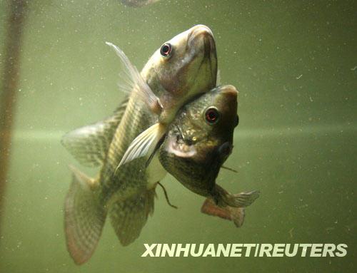 �B�w�~���E���һ��һ��ˮ����(�M�D)