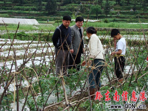 ���{��  ��ָ��  ���M�r�I�a�I�ֺ��ֿ�lչ