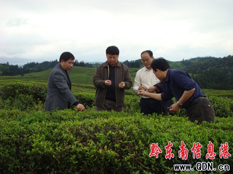 ���{��  ��ָ��  ���M�r�I�a�I�ֺ��ֿ�lչ