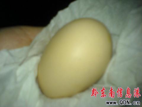 ��������ϡ���� �Bֳ���﹫�u���µ����D��