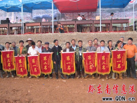 �|����ţ09��(zh��ng)��ِ�Y(ji��)�� �齭ţ���Z�ڣ��D��