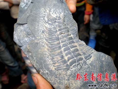 ���_һ�Kʯ�^  �@�F��ϡ��ʯ