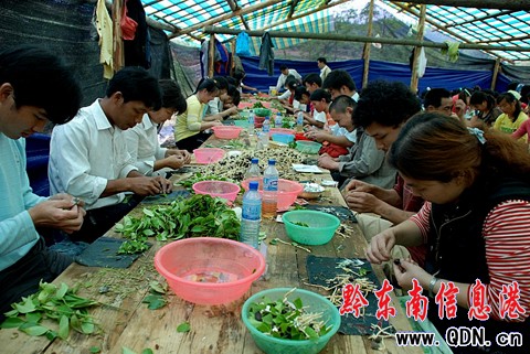 ��ƽ�ƏV�Ͳ���Ʒ�N���Ͳ�a�Iע�������D��