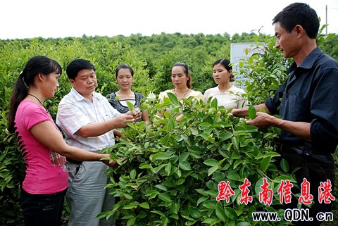 ��ƽ�ƏV�Ͳ���Ʒ�N���Ͳ�a�Iע�������D��