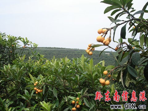 �_���h��һ�l(xi��ng)ǧ�����ˈ@�T�����ۣ��D��