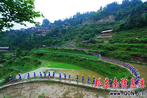 丹寨:千人齊跳錦雞舞 萬人趕來共欣賞(圖)