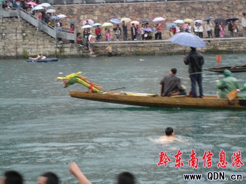舞陽河,雨中搶鴨子(組圖)