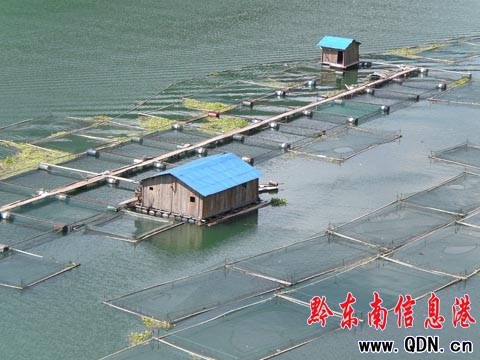 ������ɯ����ˮ�a(ch��n)�B(y��ng)ֳ�����������գ��M�D��