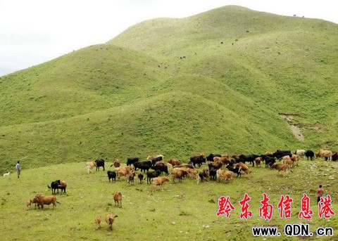 �_�����f���݈����ų�ţ�����M�D��