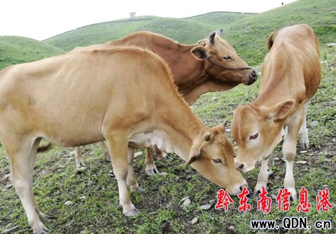 �_�����f���݈����ų�ţ�����M�D��