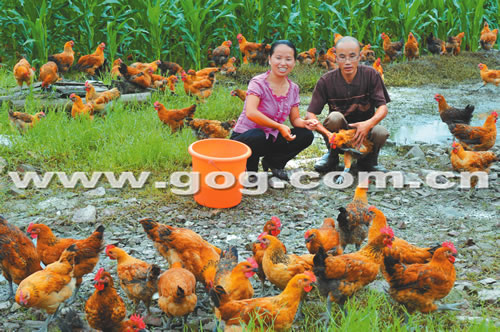 ���ӷ��l�r���B�u�¸�