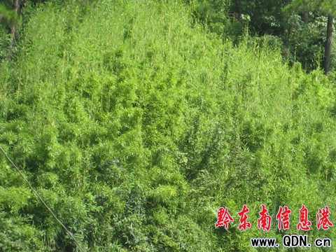 ����ȫ������J���������أ�ƽ�������������