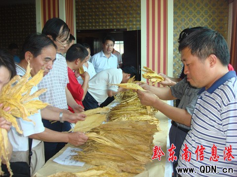 天柱優(yōu)質(zhì)特色煙葉獲國(guó)家專家組肯定 稱風(fēng)格突出