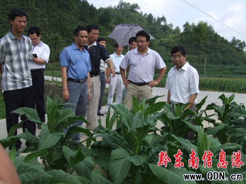 �T���ĵ�ʩ���h�{(di��o)�У��M�D��