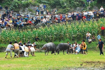 ��կ������� ���ﶷţ���S�գ��D��