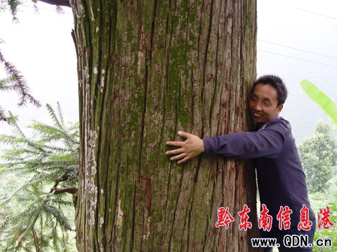 �ٚq��ɼ�������[����ɽ��կ�ԣ��M�D��