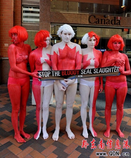 �M�D�����ﱣ�o�M���ɆT���w���h�C������