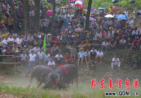 �F��ʡ����؅^���y������s�蹝���_Ļ���D��