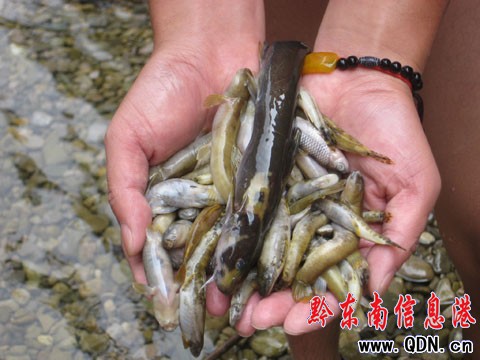 ɼľ�������~Ư �l׌�������ò���������(�D)