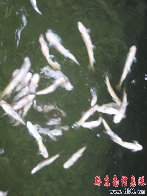 ɼľ�������~Ư �l׌�������ò������ף�(�D)