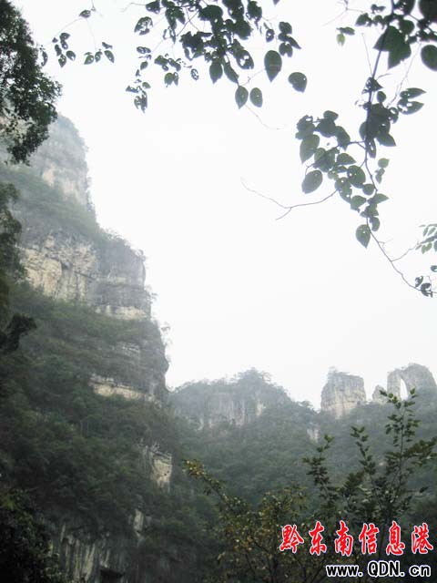 ɼľ���ɾ� ���ƣ�v���`�����҈@���D��