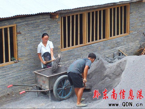 律師、經(jīng)理咱不當(dāng) 回家蓋房養(yǎng)雞去(圖)