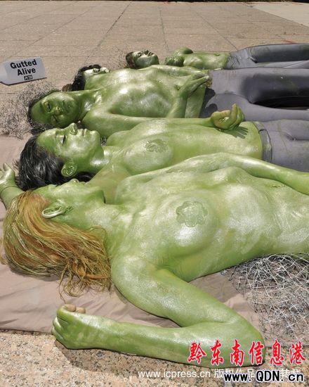 ��(d��ng)�ﱣ�o(h��)�߰�����������~(y��)���h�����~(y��)�(�M�D)