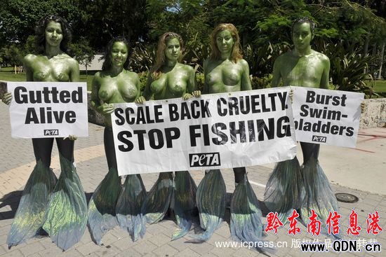 ��(d��ng)�ﱣ�o(h��)�߰�����������~(y��)���h�����~(y��)�(�M�D)