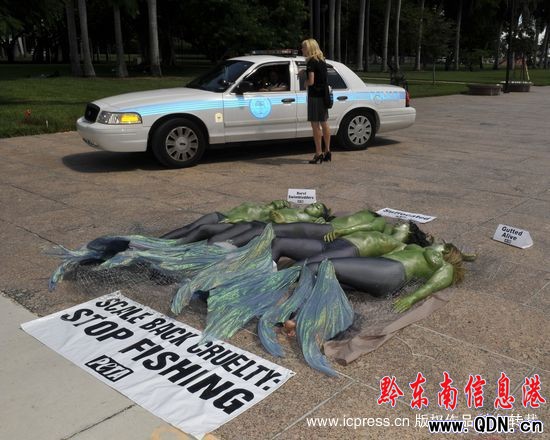 ��(d��ng)�ﱣ�o(h��)�߰�����������~(y��)���h�����~(y��)�(�M�D)