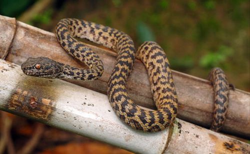 �|�ρ��ع�������l�F163������N(�M�D)