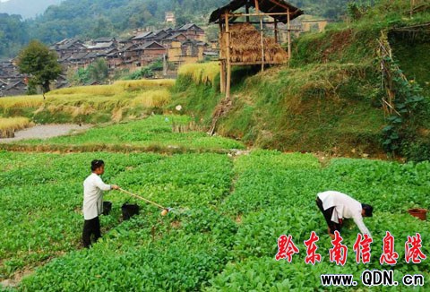 ���X�{���˿��������F�ݶ�կ����ռ��M�D��