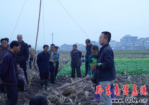 �Sƽ�����f���f�����p���Ͳˡ����أ��D��