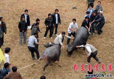 �Ľ�������r(n��ng)�eِ��ţ���M�D��