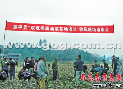 �SƽͶ�Y500�f�����f�����p���Ͳˡ�����(�D)