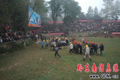 �����h��ţ�����ԑc�S�գ��M�D��