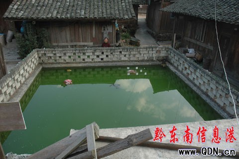 ��ƽ�ų��彨�������������Cվ���D��