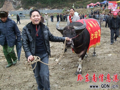 ��ɽ��ţ����ِ�Y��  �P�ﶷţ���l�Q�ۣ��D��