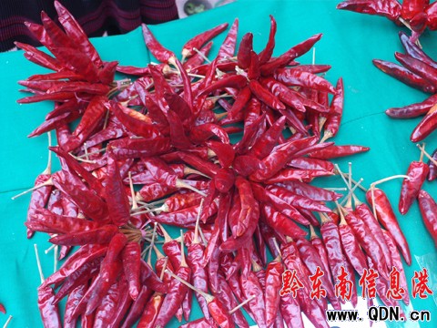 ���]������(ji��) �t�t����ӳ�����ռt������(�M�D)