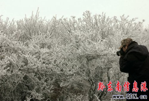 �zӰ�ۺ���ץ���׹�ɽ�Fڡ���^���M�D��