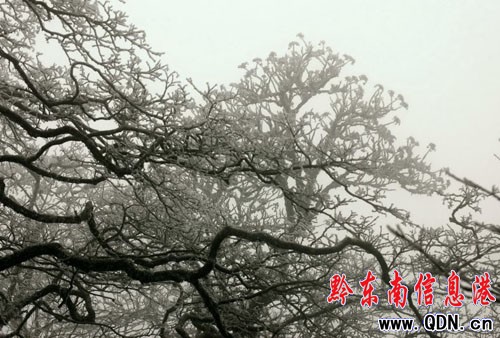 �zӰ�ۺ���ץ���׹�ɽ�Fڡ���^���M�D��