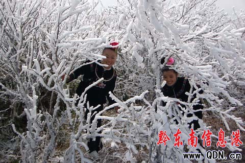 �׹�ɽ��ػ����������`�ţ��M�D��