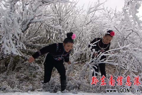 �׹�ɽ��ػ����������`�ţ��M�D��