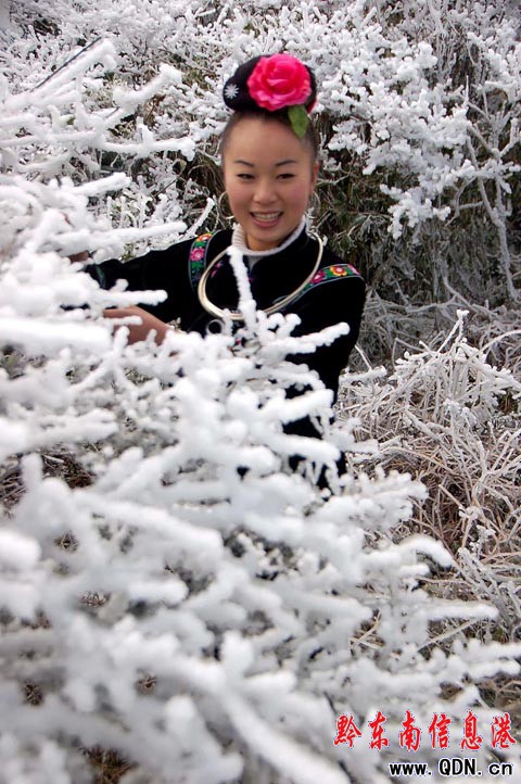 �׹�ɽ��ػ����������`�ţ��M�D��