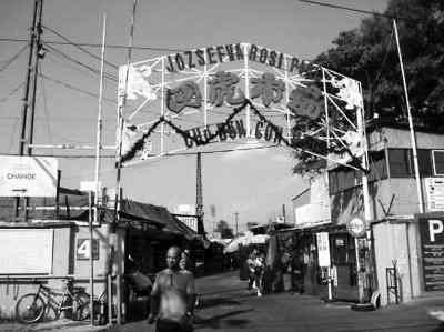 �W���A�̌���P�� ���{¶�����B�iЧ��(�D)