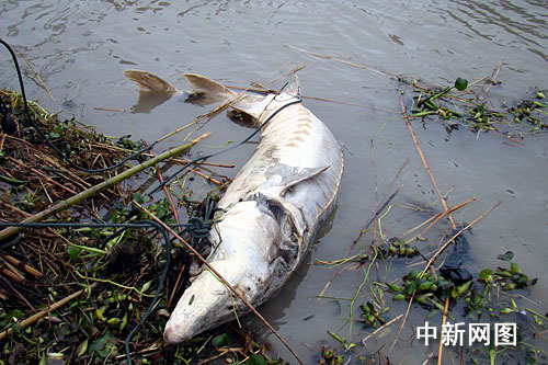 �������ˮ��l(f��)�F(xi��n)�ؼs200�����������A�\(�M�D)