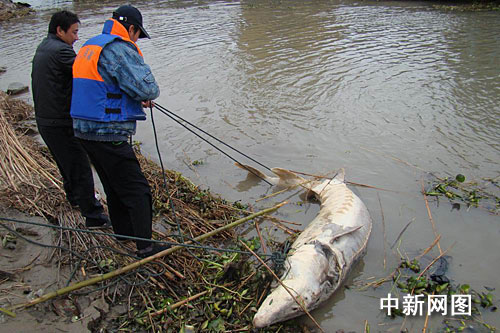 �������ˮ��l(f��)�F(xi��n)�ؼs200�����������A�\(�M�D)